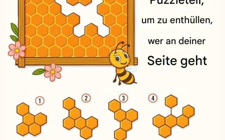 Finde das fehlende Wabenstück, um herauszufinden, wer an deiner Seite geht