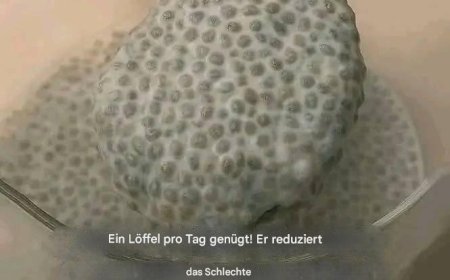 Ein einziger Löffel täglich genügt! Er senkt das schlechte Cholesterin, reinigt die Arterien, reguliert den Blutzuckerspiegel und zügelt sogar den Appetit.