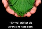 150-mal stärker als Zitrone und Knoblauch!