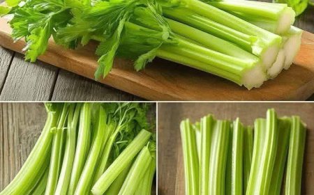 Reinigt die Leber 150-mal stärker als Knoblauch und Zitrone! Omas gesundes Rezept.