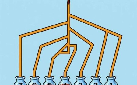 Ein Rätsel für die Aufmerksamsten: Wirst du erraten können, welcher Behälter zuerst gefüllt wird?