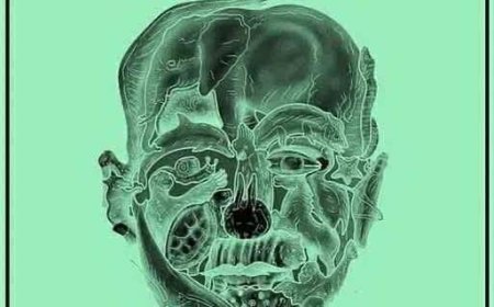 Welches Tier Sie in diesem Bild zuerst sehen, könnte etwas über Ihre Persönlichkeit verraten