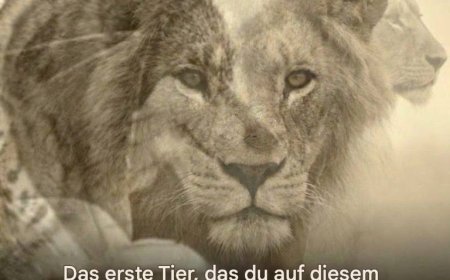 Das erste Tier, das du auf diesem Bild siehst, die Offenbarung dessen, wer du bist