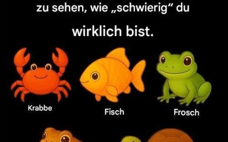 Schummel nicht. Such dir das unpassende Element aus, um zu sehen, wie „schwierig“ du wirklich bist.