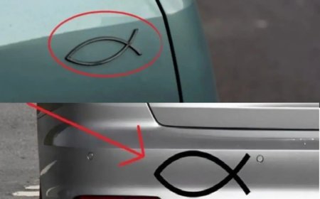 Was bedeutet das kleine fischförmige Symbol, das man auf der Rückseite mancher Autos sieht, und wozu wird es verwendet?