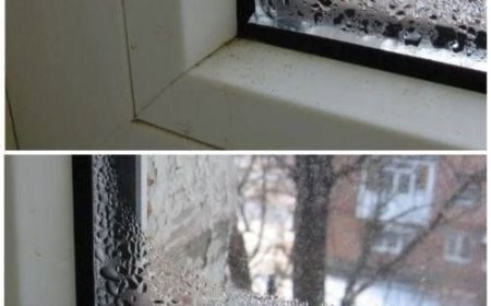 Meine PVC-Fenster bleiben im Winter trocken. Ich erkläre Ihnen in 3 Minuten, wie Sie Kondenswasserbildung vermeiden können (meine praktischen Tipps).