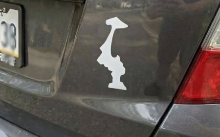 Warum Autofahrer diesen auf dem Kopf stehenden Aufkleber an ihren Autos anbringen