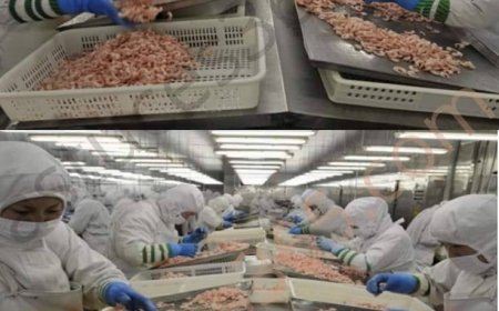 8 Lebensmittel aus China, die Sie nicht mehr konsumieren sollten