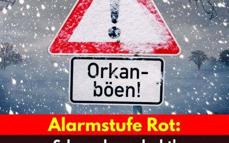 Behörden schlagen Alarm