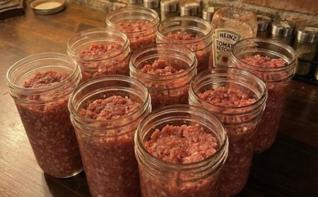 Eine anfängerfreundliche Anleitung zum Einkochen von hausgemachtem Hackbraten im Schnellkochtopf