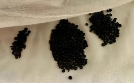 Ich habe das unter meiner Matratze gefunden