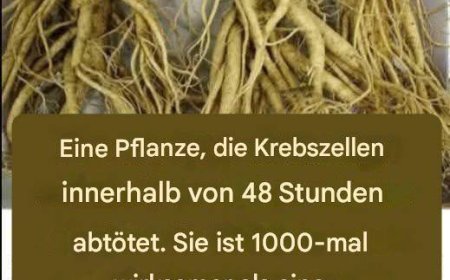 Diese Wurzel zerstört 98 % der Magen-, Darm-, Bauchspeicheldrüsen- und anderer Krebsarten