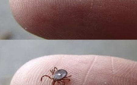 Weiß jemand, was das ist