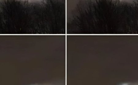 Mein Bruder hat dieses Foto nur 21 km von unserem Haus entfernt aufgenommen