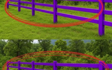 Wenn Sie einen lila gestrichenen Zaun sehen, bedeutet das Folgendes