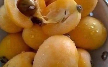 Dieses einfache, selbstgemachte Marmeladenrezept macht Alltagsfrüchte zu einem ewigen Favoriten.