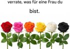 Wähle eine Rose und verrate, was für eine Frau du bist.