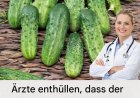 Was wirklich passiert, wenn man täglich Gurken im Salat isst – laut Ärzten