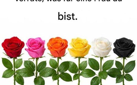 Wähle eine Rose und verrate, was für eine Frau du bist.