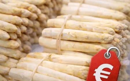 So teuer musst du dieses Jahr für Spargel
