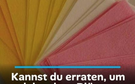 Kannst du erraten, um welche alten Blätter es sich handelt? Fast jeder liegt falsch