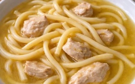 Hühnersuppe mit Nudeln