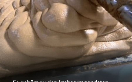 Diese Lebensmittel, die Sie jede Woche zu sich nehmen, sind ein wahres Gift für Ihren Körper