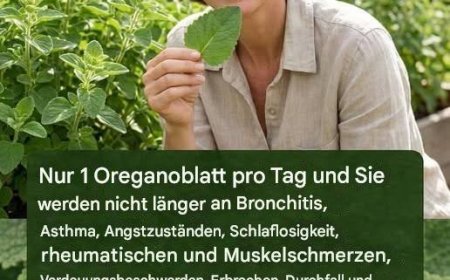 Kubanischer Oregano: Ein nachdenklicher Blick auf Tradition, Ritual und verantwortungsvollen Umgang