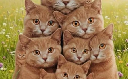 Ich sehe eine 9 – und du