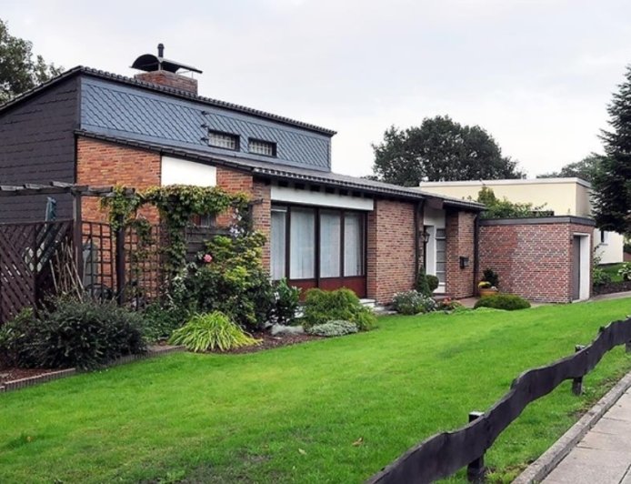 In Deutschland breiten sich vermehrt schwarze Schlangen aus