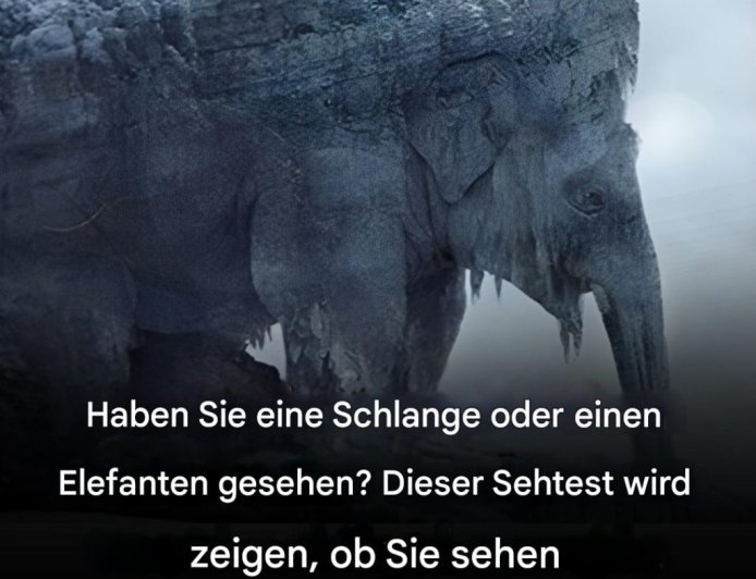 Was haben Sie auf den ersten Blick gesehen