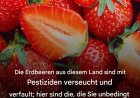 Die Erdbeeren aus diesem Land sollte man unbedingt meiden