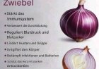 Die kraftvollen gesundheitlichen Vorteile von Zwiebeln
