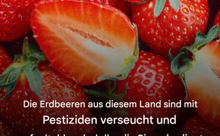 Die Erdbeeren aus diesem Land sollte man unbedingt meiden