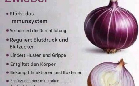 Die kraftvollen gesundheitlichen Vorteile von Zwiebeln