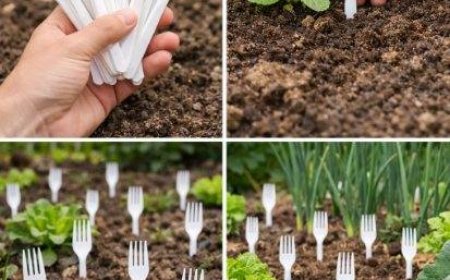 Plastikgabeln im Gemüsegarten: Alle Gärtner machen es – der Grund dafür ist genial.