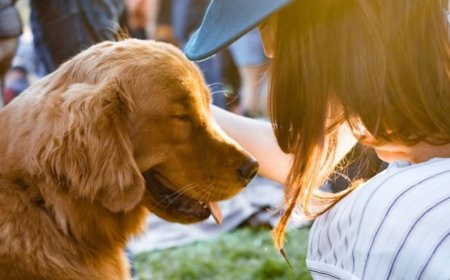11 wichtige Anzeichen, die jeder Hundebesitzer kennen sollte