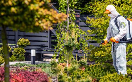 Heute Morgen ging ich in den Garten – nur um die Blumen zu gießen und nachzusehen
