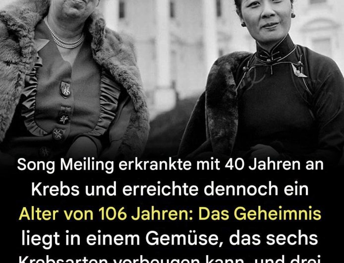 Das Wundergemüse, das Soong Meiling zu einem Leben von 106 Jahren verhalf