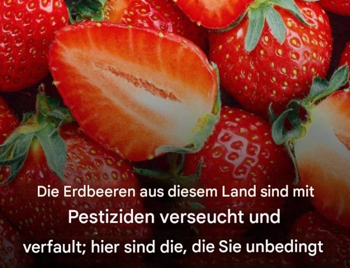 Die Erdbeeren aus diesem Land sollte man unbedingt meiden