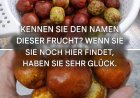Wie sie schmecken, wie man sie verzehrt und alle ihre Vorteile.