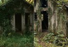Als das Erbe verteilt wurde, fühlte ich mich übergangen – bis ein Fund in Großvaters Hütte alles veränderte