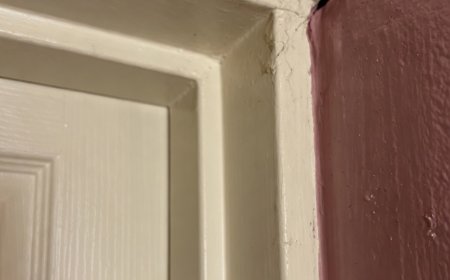 Ein unerwarteter Fund im Hotelzimmer sorgt für Neugier