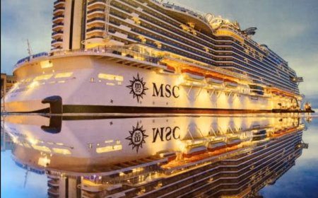 Ehepaar bucht 51 Kreuzfahrten am Stück