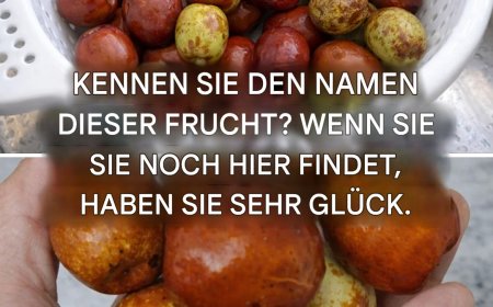 Wie sie schmecken, wie man sie verzehrt und alle ihre Vorteile.