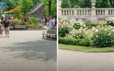 „Jahre später fand ich einen Brief meines Vaters, der unsere Familiengeschichte veränderte