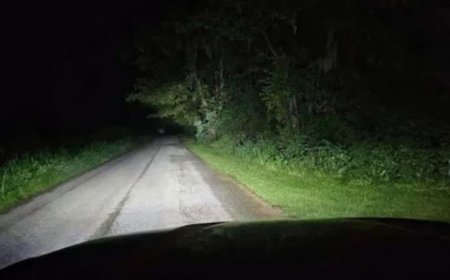 Warum Experten empfehlen, nachts bei ungewöhnlichen Gegenständen am Straßenrand besonders vorsichtig zu sein