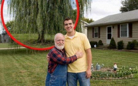 Als meine Schaufel unter Grandpas Baum auf etwas Hartes stieß, veränderte sich mein Leben für immer