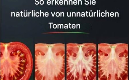 Was Ihre Tomate Ihnen sagen will