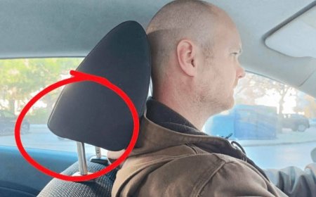 Warum sind Autokopfstützen mit Metallstangen ausgestattet?